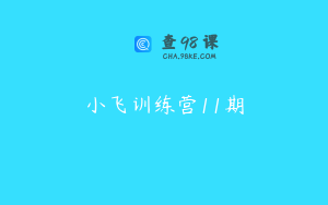 小飞训练营11期