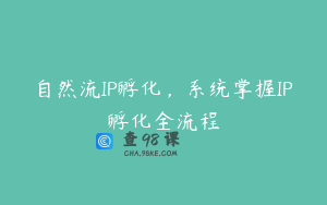 自然流IP孵化，系统掌握IP孵化全流程