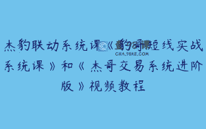 杰豹联动系统课《豹哥短线实战系统课》和《杰哥交易系统进阶版》视频教程