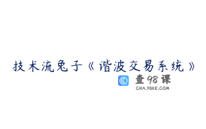 技术流兔子《谐波交易系统》