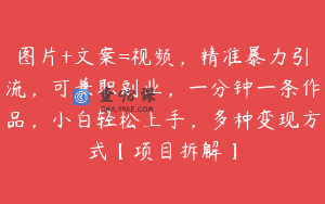 图片+文案=视频，精准暴力引流，可兼职副业，一分钟一条作品，小白轻松上手，多种变现方式【项目拆解】