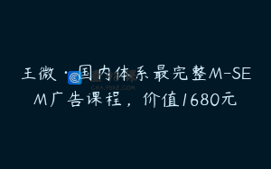王微·国内体系最完整M-SEM广告课程，价值1680元