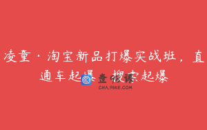 凌童·淘宝新品打爆实战班，直通车起爆、搜索起爆