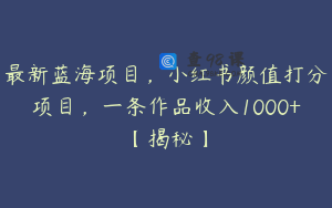 最新蓝海项目，小红书颜值打分项目，一条作品收入1000+【揭秘】