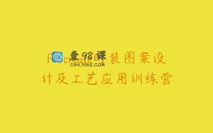 Procreate时装图案设计及工艺应用训练营