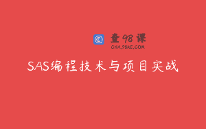 SAS编程技术与项目实战