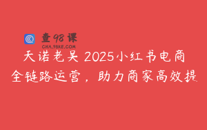天诺老吴・2025小红书电商全链路运营，助力商家高效提