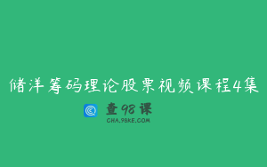 储洋筹码理论股票视频课程4集