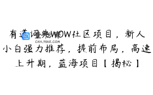有道词典WOW社区项目,新人小白强力推荐,提前布局,高速上升期,蓝海项目【揭秘】