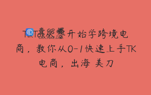 TikTok从零开始学跨境电商，教你从0-1快速上手TK电商，出海賺美刀