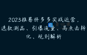 2023推易拼多多实战运营，选款测品、引爆流量、高点击转化、规则解析