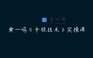 黄一鸣《牛股技术》实操课