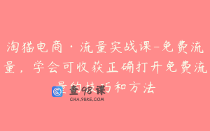 淘猫电商·流量实战课-免费流量，学会可收获正确打开免费流量的技巧和方法