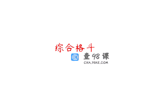 综合格斗