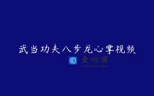 武当功夫八步龙心掌视频