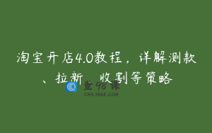 淘宝开店4.0教程，详解测款、拉新、收割等策略