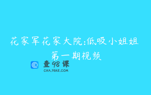 花家军花家大院:低吸小姐姐 第一期视频