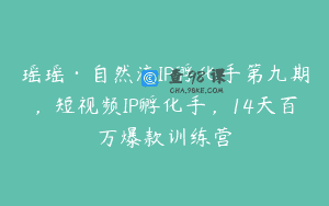 瑶瑶·自然流IP孵化手第九期，短视频IP孵化手，14天百万爆款训练营