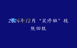 2024年12月“实修班”视频回放