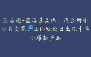 亚马逊-蓝海选品课：适合新手小白卖家，让你轻松日出几十单小爆款产品