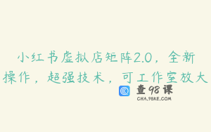 小红书虚拟店矩阵2.0，全新操作，超强技术，可工作室放大