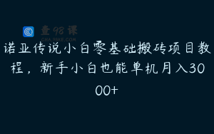 诺亚传说小白零基础搬砖项目教程，新手小白也能单机月入3000+