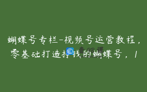 蝴蝶号专栏-视频号运营教程，零基础打造挣钱的蝴蝶号，1