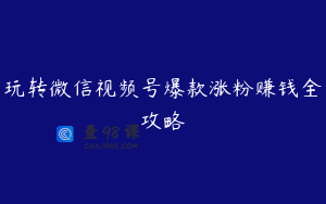 玩转微信视频号爆款涨粉赚钱全攻略