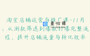 淘宝店铺运营与推广课-11月：从测款筛选到爆款打爆完整流程，提升店铺流量与转化效率