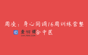 周凌：身心同调16周训练营整合中医
