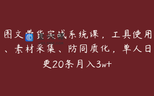 图文带货实战系统课，工具使用、素材采集、防同质化，单人日更20条月入3w+
