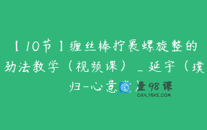 【10节】缠丝棒拧裹螺旋整的劲法教学（视频课）_延宇（璞归-心意堂）