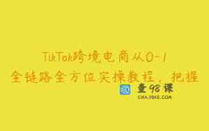 TikTok跨境电商从0-1全链路全方位实操教程，把握
