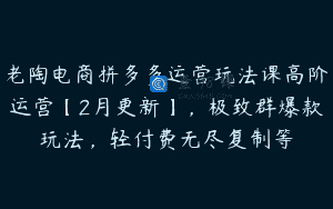 老陶电商拼多多运营玩法课高阶运营【2月更新】，极致群爆款玩法，轻付费无尽复制等