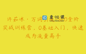 许茹冰·万词引流-SEO全阶实战训练营，0基础入门，快速成为流量高手
