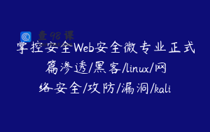 掌控安全Web安全微专业正式篇渗透/黑客/linux/网络安全/攻防/漏洞/kali