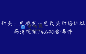 针灸：焦顺发~焦氏头针培训班高清视频14.64G含课件