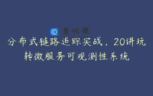 分布式链路追踪实战，20讲玩转微服务可观测性系统