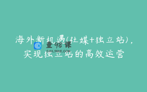 海外新机遇(社媒+独立站)，实现独立站的高效运营
