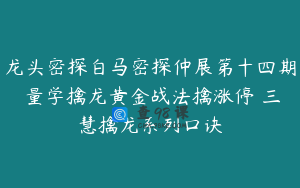 龙头密探白马密探仲展第十四期 量学擒龙黄金战法擒涨停 三慧擒龙系列口诀