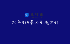 24年315暴力引流方针