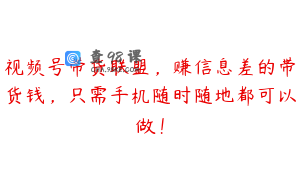 视频号带货联盟,赚信息差的带货钱,只需手机随时随地都可以做!