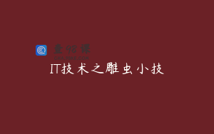 IT技术之雕虫小技