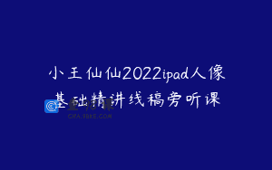 小王仙仙2022ipad人像基础精讲线稿旁听课