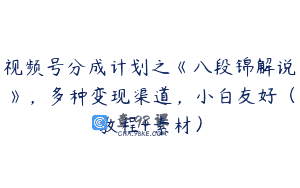 视频号分成计划之《八段锦解说》，多种变现渠道，小白友好（教程+素材）