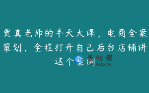 贾真老师的半天大课，电商全案策划，全程打开自己后台店铺讲这个案例