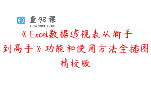 《Excel数据透视表从新手到高手》功能和使用方法全插图精校版