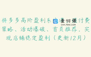 拼多多高阶盈利系统课，强付费策略、活动爆破、首页推荐，实现店铺稳定盈利（更新12月）