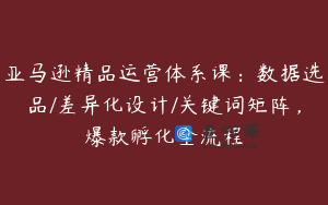 亚马逊精品运营体系课：数据选品/差异化设计/关键词矩阵，爆款孵化全流程