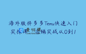 海外版拼多多Temu快速入门实操课，店铺实战从0到1